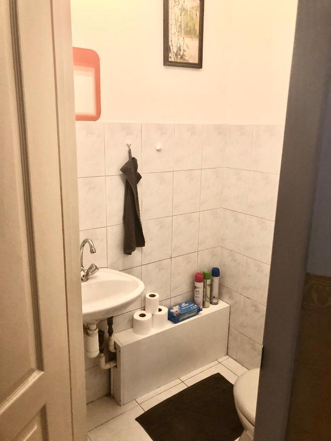 Large Apartment With Garage And Terrace Budapest Esterno foto
